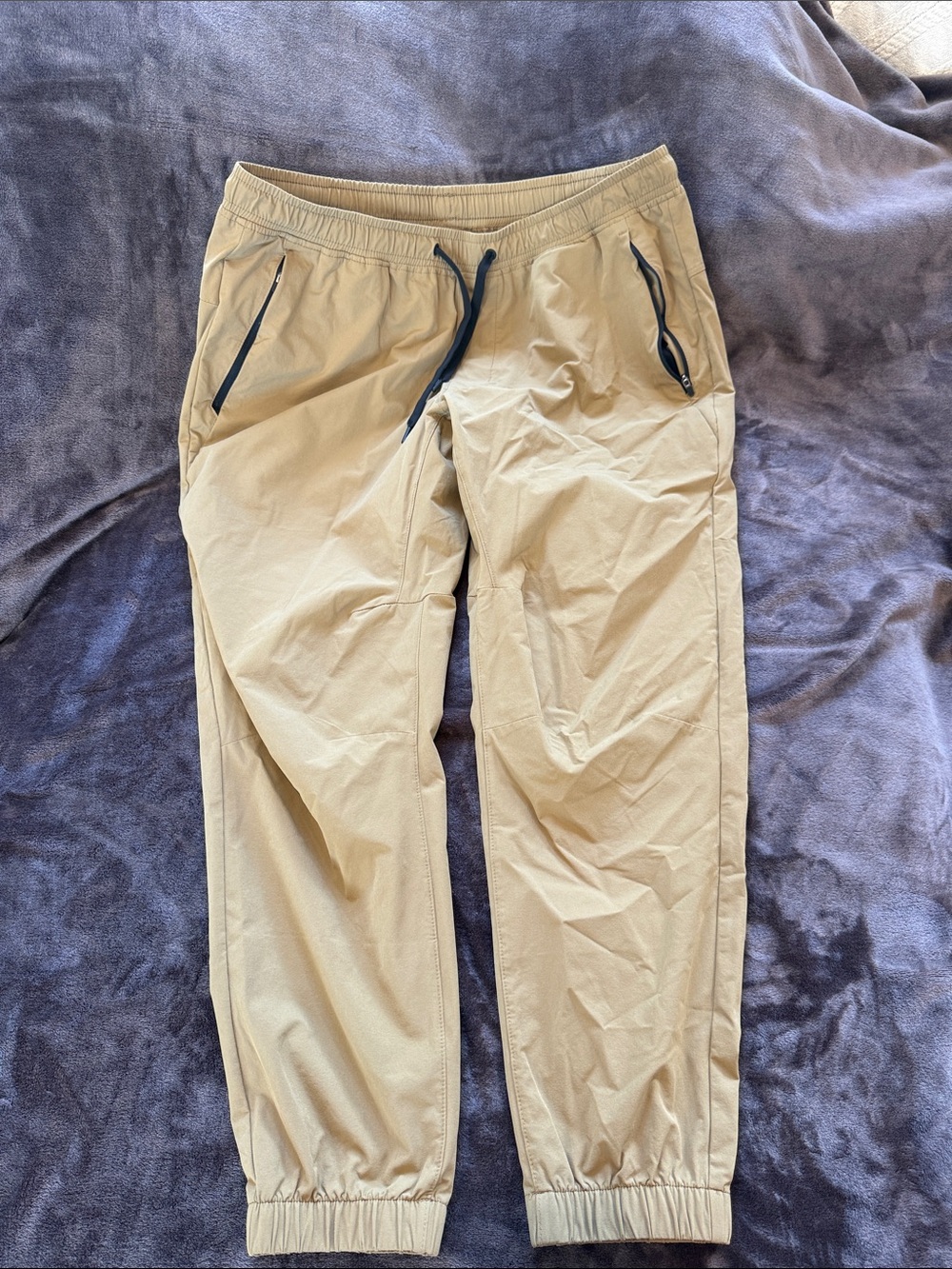 American Eagle Outfitters Tan Elastic Waist Jogger Pants